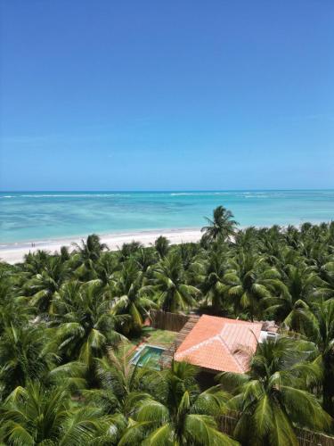 an aerial view of the beach and palm trees at Villas Taturé in São Miguel dos Milagres