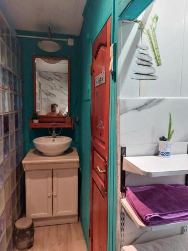 ein Bad mit einem Waschbecken und einem Spiegel in der Unterkunft Tranquillité in Saint-Joseph