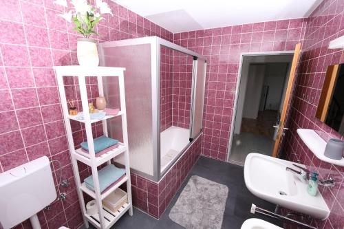 y baño de color rosa con lavabo y ducha. en NATURBLICK Apartments: Moderne Ferienwohnung, en Grebenhain