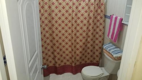 une salle de bain avec toilettes et rideau de douche dans l'établissement Apartamentos JuanSabeloTodo, à Santiago de los Caballeros