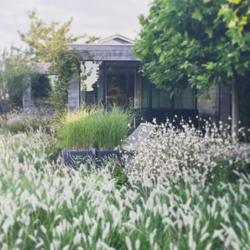 Ein Garten an der Unterkunft Lit de Clémot