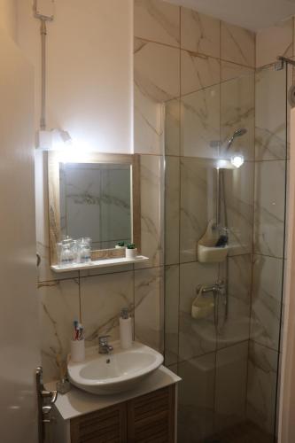a bathroom with a sink and a shower with a mirror at Chic Apartment Subotica in Subotica