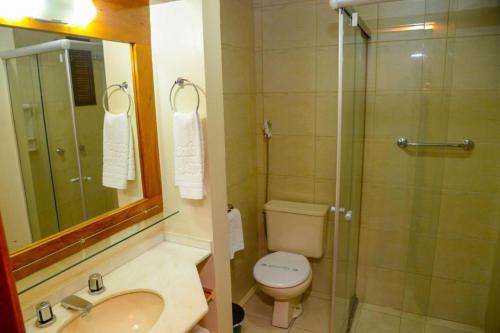 un bagno con doccia, WC e lavandino di Apartamento Pousada do Serrano a Gramado