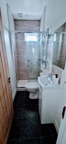 a bathroom with a shower and a toilet and a sink at Central Reading Modern 3BR flat - Walk to station and high street in Reading