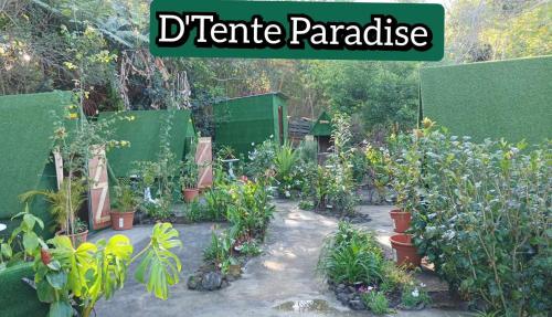 a garden with plants and a sign that reads traffic paradise at Camping D'Tente Paradise in Saint-Louis