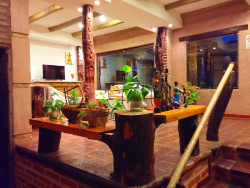 a table with potted plants on it in a room at Los Brunos Posada in Reconquista
