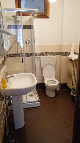 uma casa de banho com um WC e um lavatório em Affittacamere Buca di bacco em Pontechianale