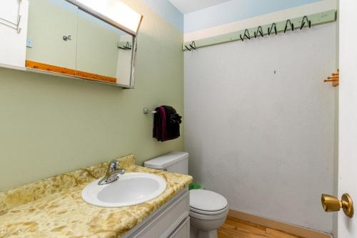 a bathroom with a sink and a toilet at Olympic Loop 405S in Girdwood
