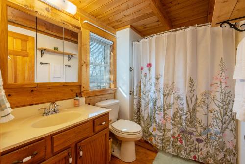 uma casa de banho com um lavatório, um WC e uma cortina de chuveiro. em Cozy Cove Cabin Pet Friendly & Creek Access em Marion