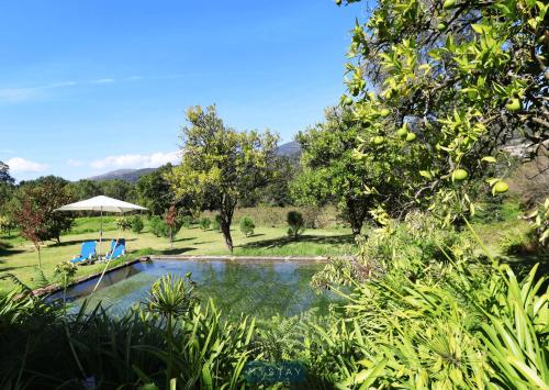 een zwembad in het midden van een tuin bij MyStay - Quinta da Balança in Terras de Bouro