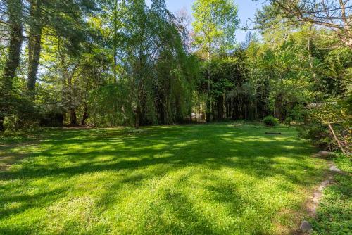 a large yard with trees and green grass at Stoney Creek Cabin Creekside Cabin Close to Town in Black Mountain