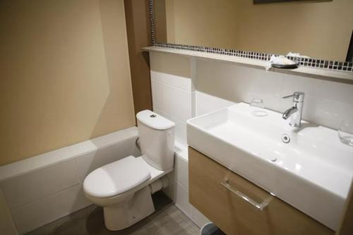 a bathroom with a white toilet and a sink at Le Moulin de Saint-Aulaye in Saint-Aulaye