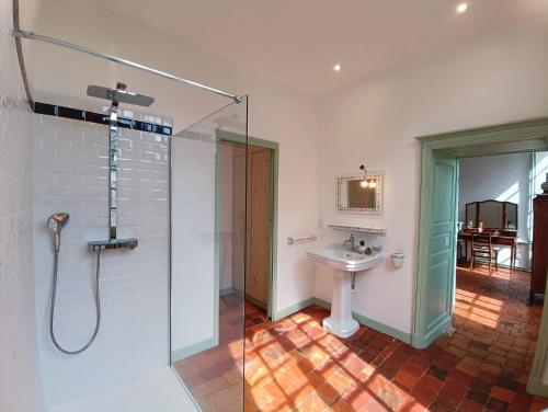 un baño con ducha y lavabo en QUELQUES JOURS À NOYERS SUR SEREIN, en Noyers-sur-Serein
