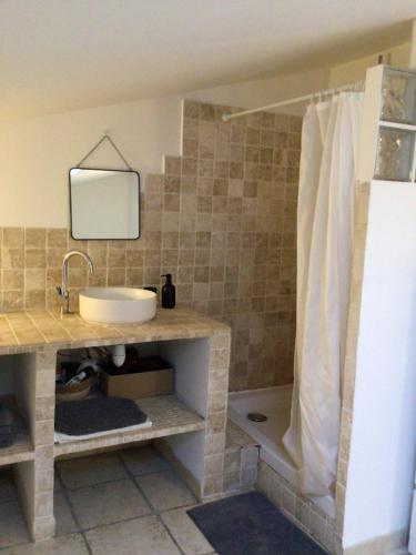 a bathroom with a sink and a shower at Casa San Carlu in Grosseto-Prugna