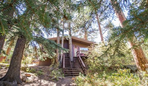 a house with stairs leading up to it with trees at Castle Mountain Lodge in Estes Park
