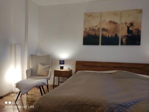 a bedroom with a bed and a chair and a painting at groassehof Haus Gstrein in Imsterberg