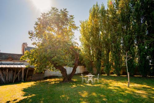 a table and chairs under a tree in a yard at RELAIS SAINT JACQUES in Amboise
