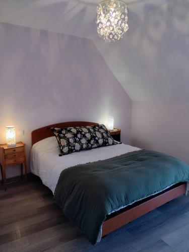 une chambre avec un lit et un lustre dans l'établissement Le City, centre ville, Wifi petit parking linge en option, à Vannes