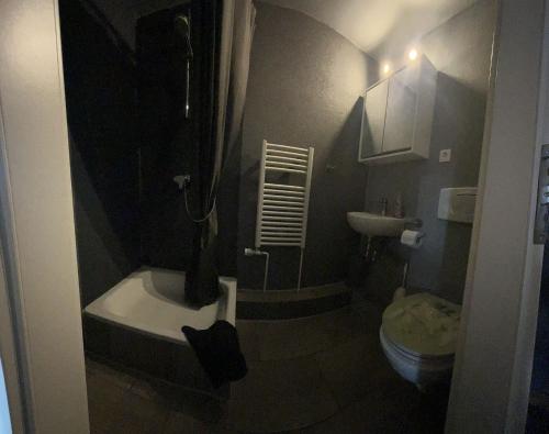 a small bathroom with a toilet and a sink at Flensburg City - 24h in Flensburg