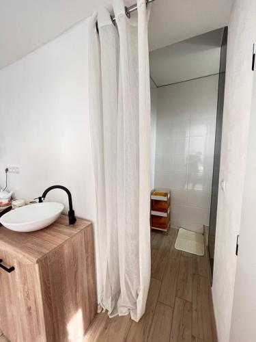 W łazience znajduje się biała umywalka i prysznic. w obiekcie Apartmán Monstera II w mieście Kolín