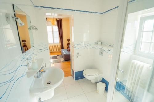 a bathroom with a toilet and a sink at RELAIS SAINT JACQUES in Amboise