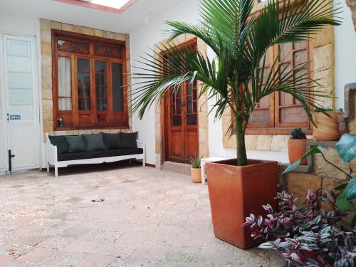 una palmera en una olla grande en un patio en Casita de Piedra, en Bogotá