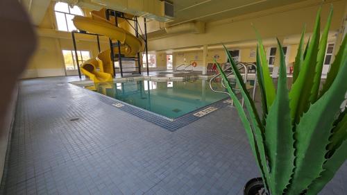 a swimming pool in a building with a potted plant at Super 8 by Wyndham Cranbrook in Cranbrook