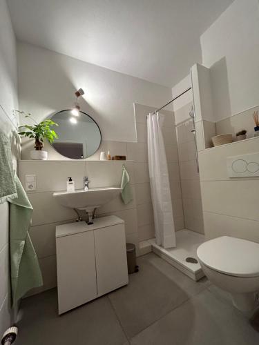 La salle de bains est pourvue d'un lavabo, de toilettes et d'un miroir. dans l'établissement Kleines und feines Apartment in Zentrum, à Mannheim