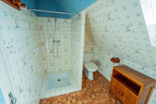 a small bathroom with a toilet and a shower at RELAIS SAINT JACQUES in Amboise