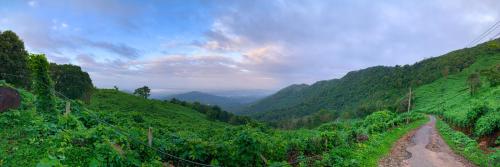 a dirt road in the middle of a green valley at CHILLAX Resorts Palakkayam THATTU in Paithalmala