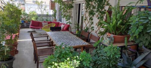 Nice & Comfortable Apartment