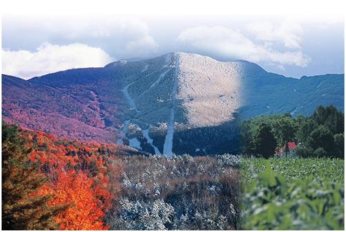 a mountain in the middle of a field with trees at Smugglers' Notch Resort Private Suites in Cambridge