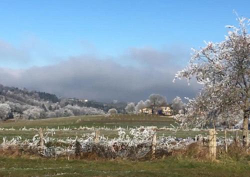 Photo de la galerie de l'établissement La Vigne, fully modernised farmhouse dated 1882 incl Swimming pool per Aug 2025!, à Le Theil