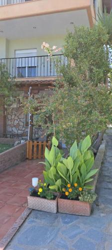 Gallery image of Villa Dimitrios(2 independent apartments 200sq m) in Vourvourou