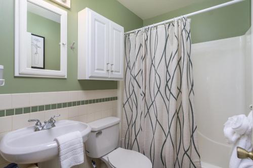 ein Badezimmer mit Waschbecken, WC und Duschvorhang in der Unterkunft Charming Pet-Friendly Cottage Walkable to Town! in Black Mountain