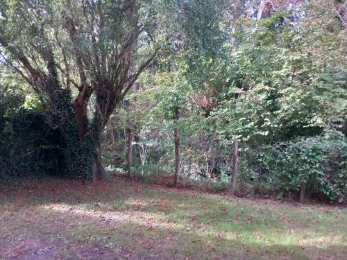 a tree in a field next to a fence at Résidence Arriu Mage in Bielle