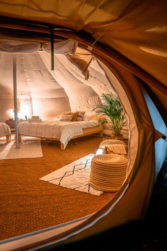 a tent with two beds and a plant in it at Glamping Gozdna Jasa in Bovec