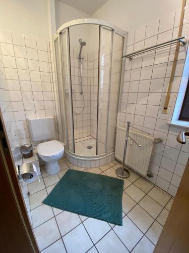 El baño incluye ducha, aseo y alfombra verde. en Ferienwohnung im Lipperland en Bad Salzuflen