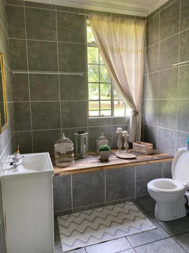a bathroom with a toilet and a sink and a window at Hekpoort Rorymi Guest farm in Hekpoort