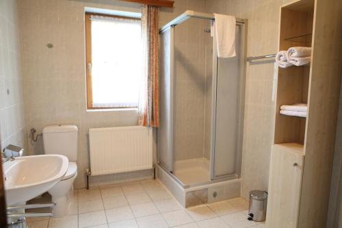 a bathroom with a shower and a toilet and a sink at Rosenhof in Ebensee