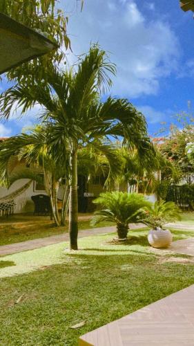 a couple of palm trees in a yard at Villa Albergaria in Flecheiras