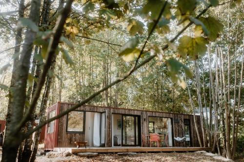 Cozy Cabins I Tiny House Seecontainer في بوكسفيس هاننكلي: كابينة في الغابة فيها اشجار