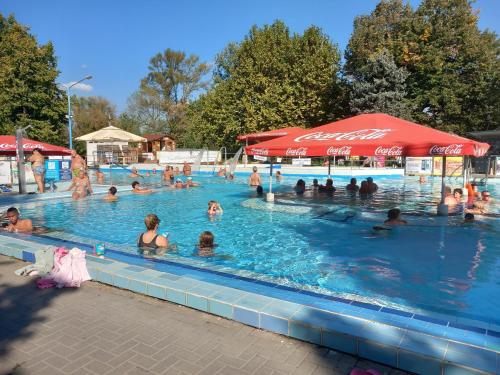a group of people in a swimming pool with an umbrella at KupolaVilla-Apartment-Event house by the Danube river-Buda in Budapest