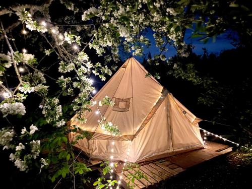 a tent sitting on a wooden platform under a tree at M.Ruth Retreats in the Orchard 