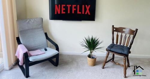 two chairs and a plant in a room at 3 Bedroom House Garden Free Parking 15 min to centre 5 min to motorway in Cambridge