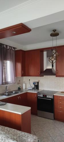 a kitchen with brown cabinets and a stove top oven at Διαμέρισμα ιδανικό για εξορμήσεις in Eleoúsa