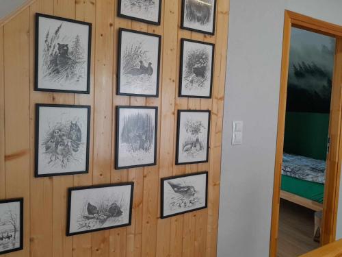 a wall with pictures of animals on it at Przystanek Las in Gąsawa