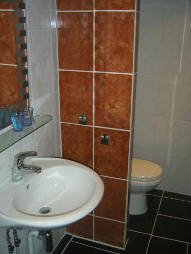 a bathroom with a sink and a toilet at De Zevende Hemel in Kerkrade