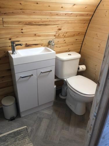 a bathroom with a toilet and a sink at The Nest cabin in Ipswich