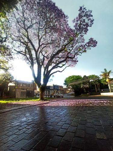 a tree with purple flowers on a brick road at Estúdio 196 in Bento Gonçalves